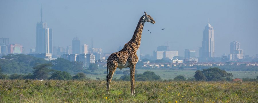 Kenya-1755x915