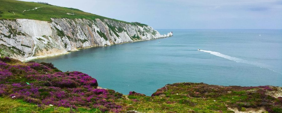 a picturesque view of the needles