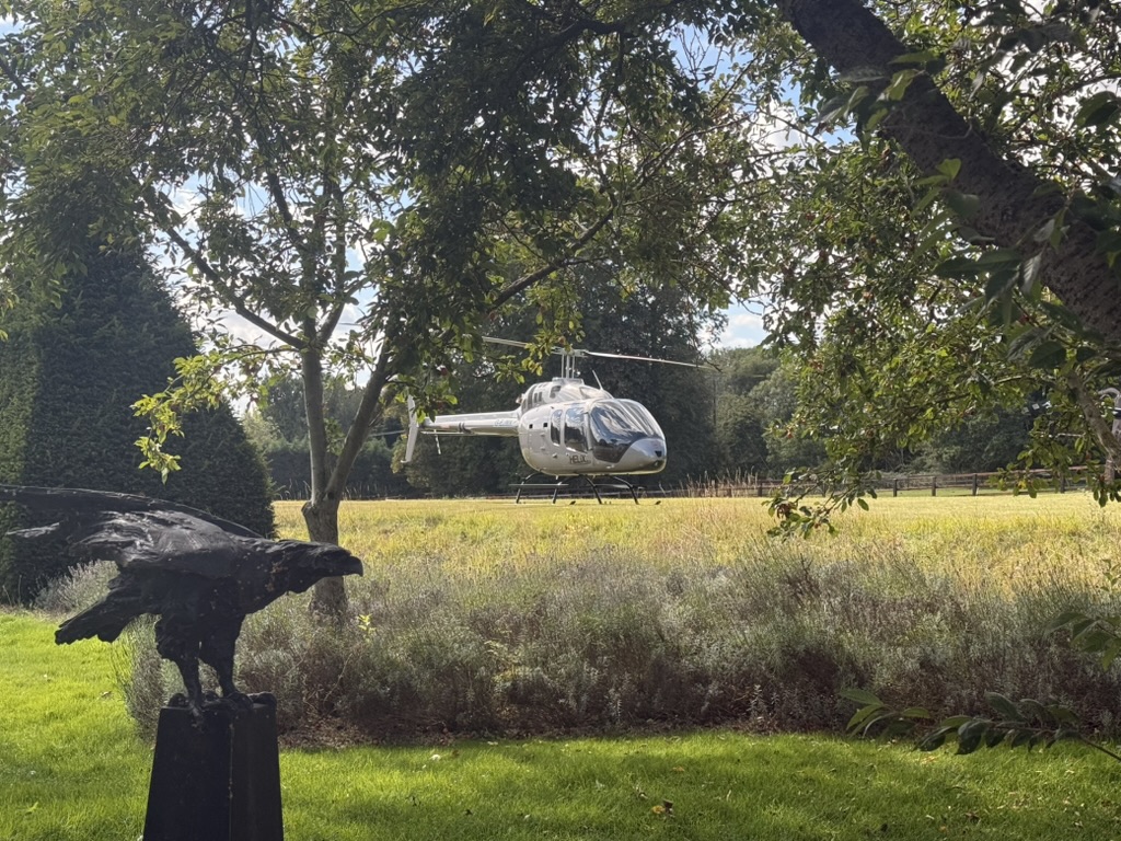 Helicopter landing on a scenic field with a bird sculpture nearby, showcasing Helipaddy's unique landing locations.
